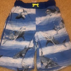 Boys Size 8 Bathing Suit